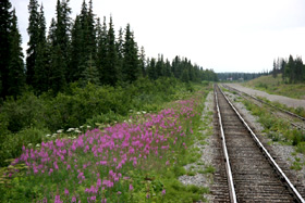 �N���b�N����ƃX���C�h�ʐ^���݂���